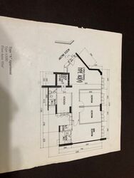 Hougang Central (D19), Shop House #554561191